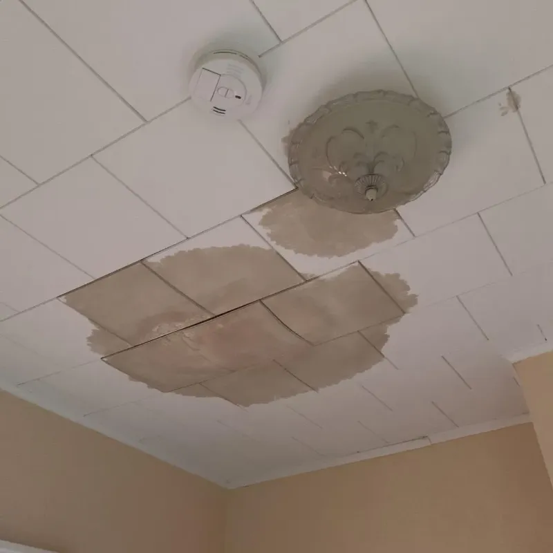 Ceiling Water Damage Repair in Hazardville, CT