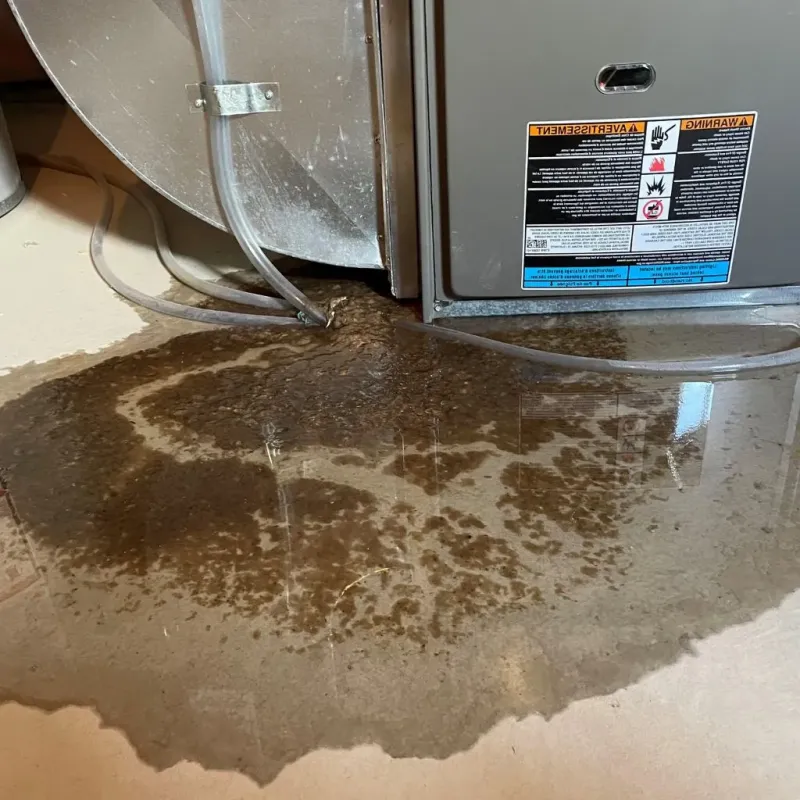 Pipe Burst and Leak Restoration in Hazardville, CT